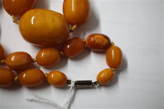 A single strand graduated oval amber bead necklace, 62cm.